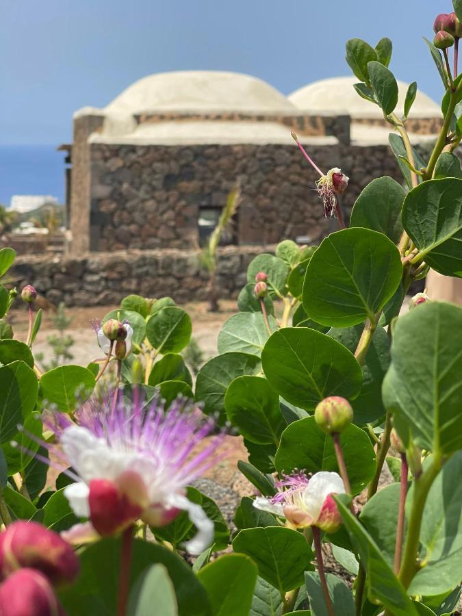 Kirani * Pantelleria